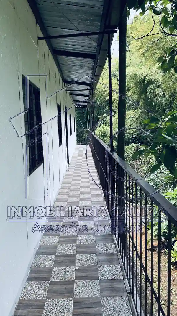 Finca Calimita